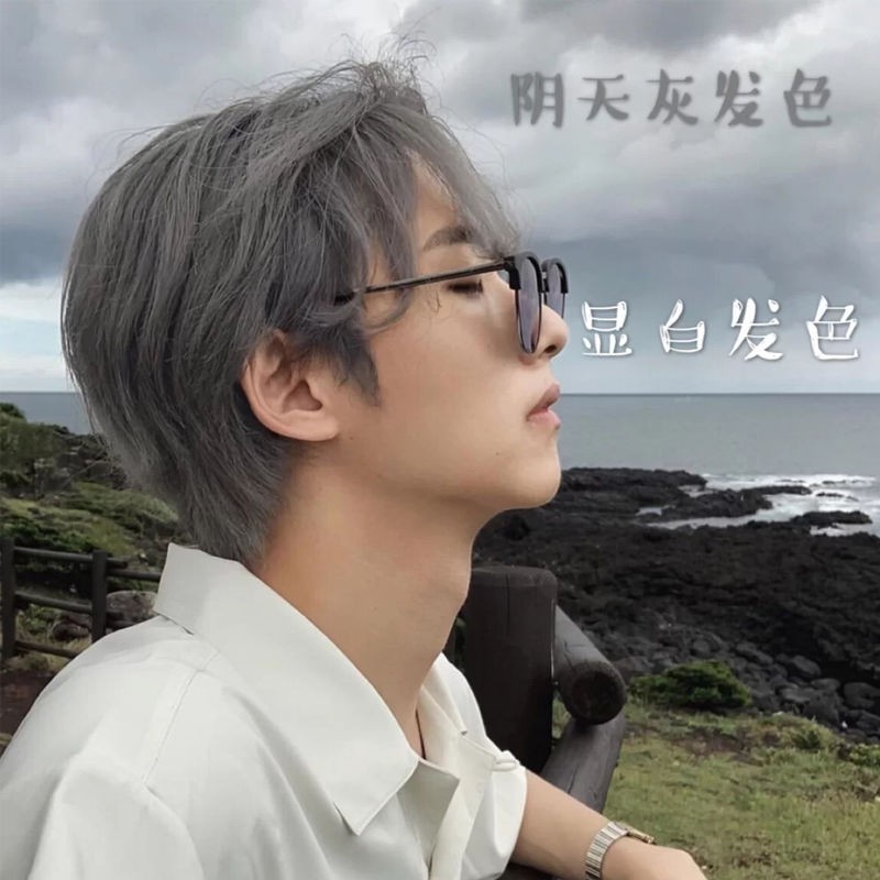 2020Popular Men's Special Hair Dye Silver Gray Grandma Gray Mist Blue Black Boys  Color Cream White S | Shopee Philippines