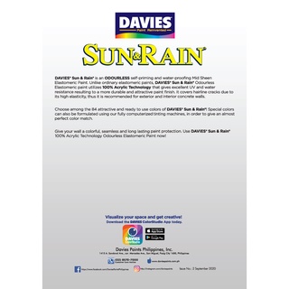 Davies 4 LITERS Sun and Rain Elastomeric Waterproofing Indoor/Outdoor Concrete/Masonry Paint（hot） #6