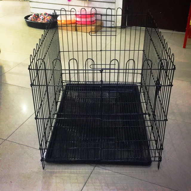 playpen training your puppy