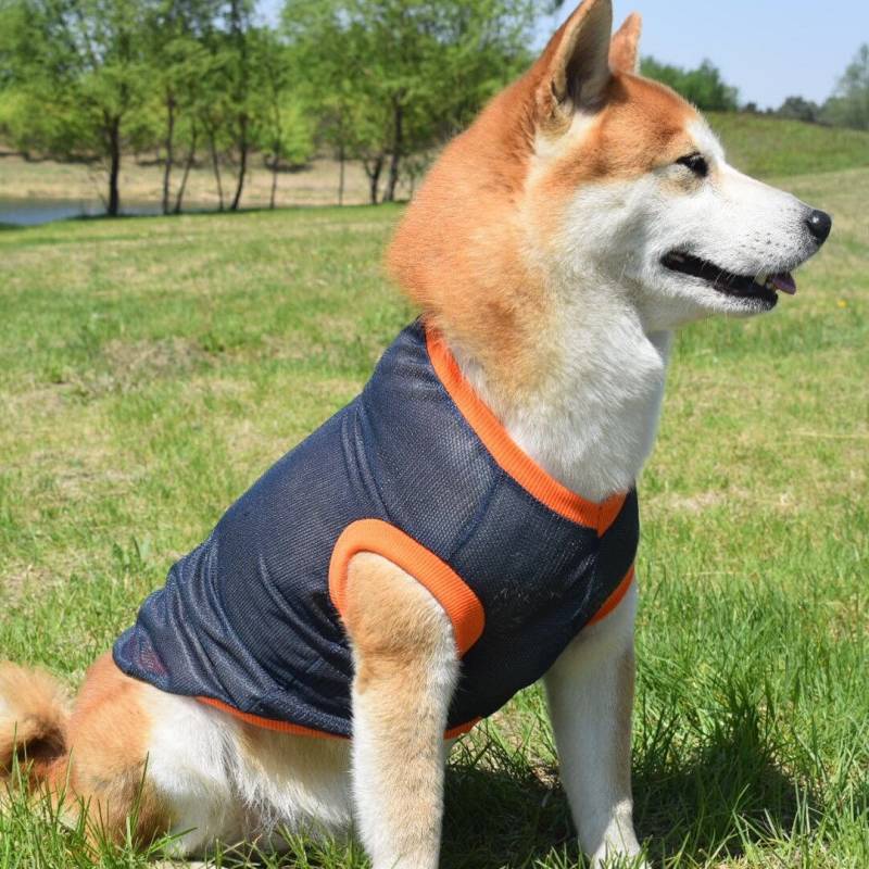 Summer New Dog Anti-Lint Cool Mesh Vest Shiba Inu Akita Pastoral Golden Retriever Samo Husky Clothes YSKl