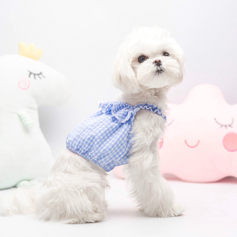 female dog clothes and accessories