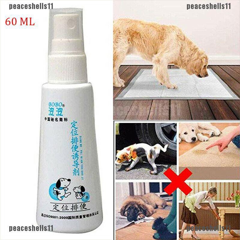 simple solution potty training aid