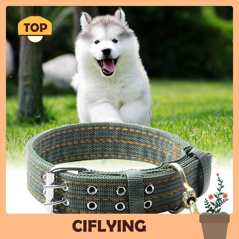 giant breed dog collars