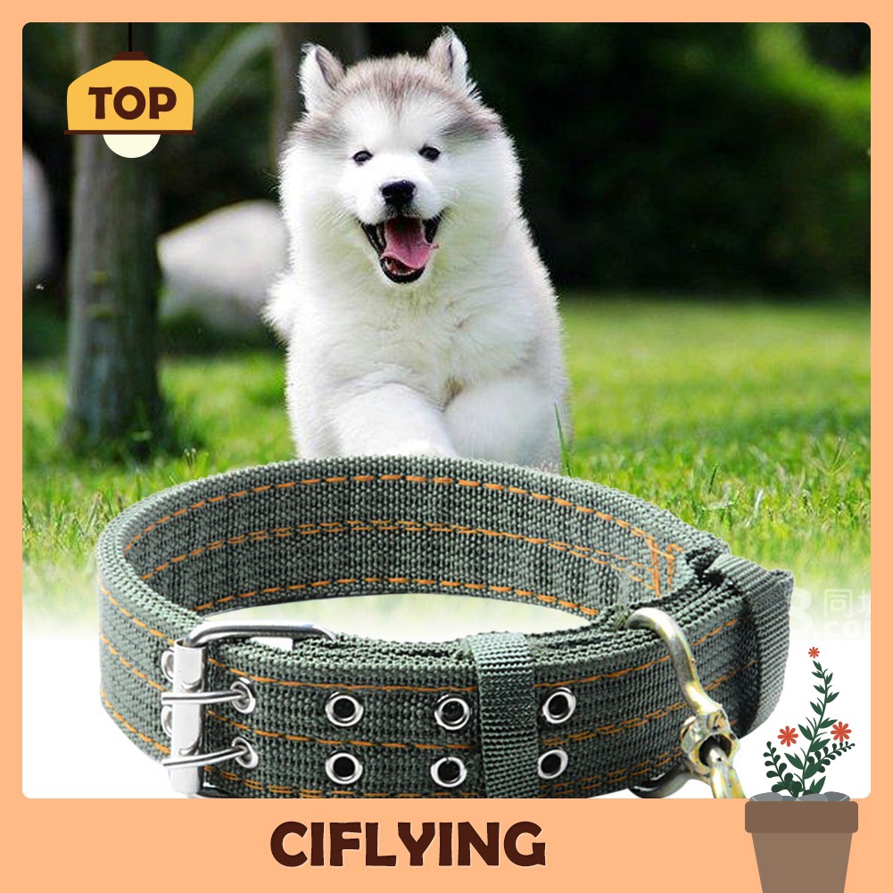 large breed dog collars