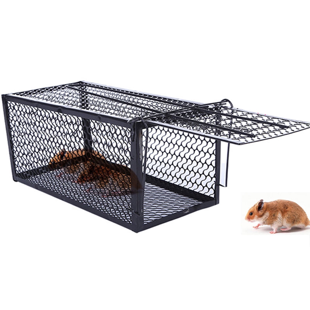 Mice Bait Hamster Humane Box Live Mouse 