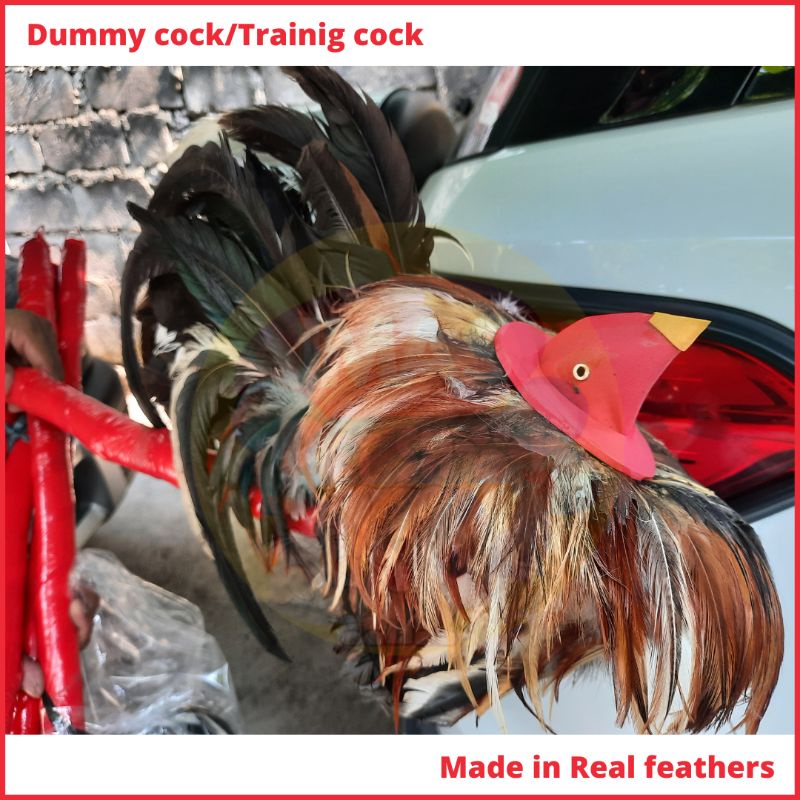 Dummy Trainor Cock/ Training Cock ”Made in real Feathers” #3