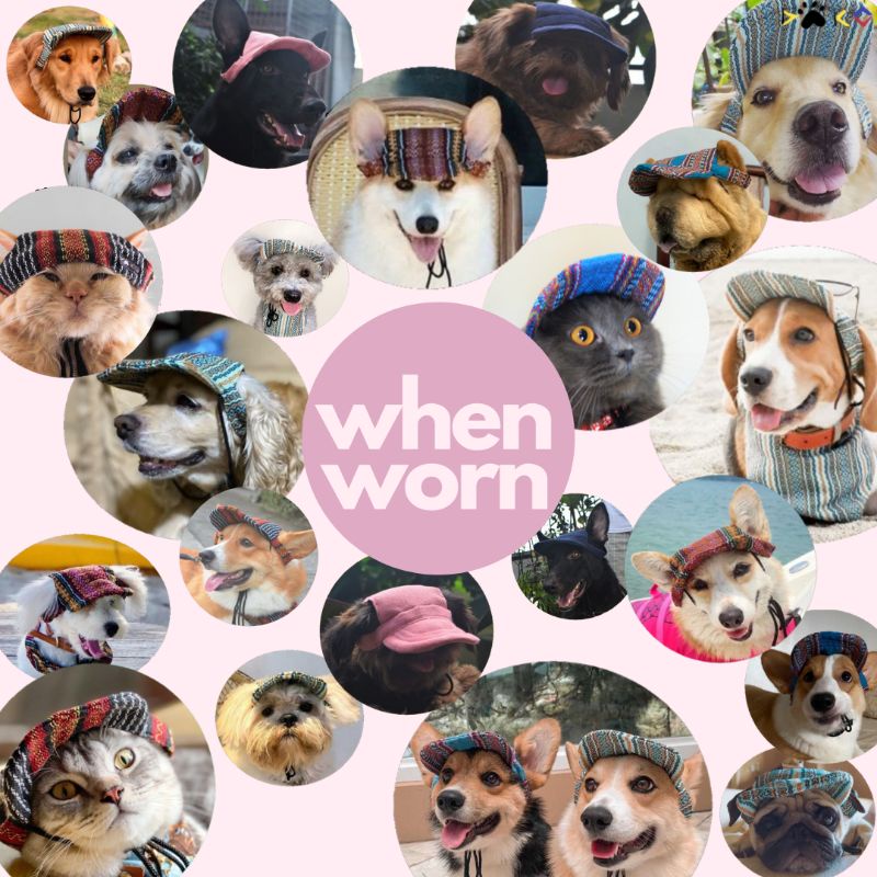 DAKO Pet Cap | Dog Cap or Cat Cap | Pet Summer Cap or Pet Baseball Cap #5