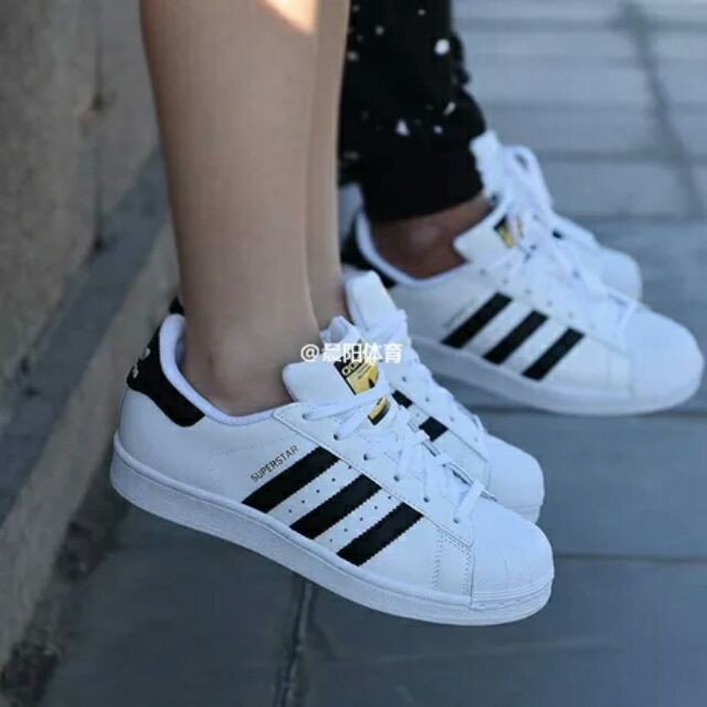 adidas superstar male female