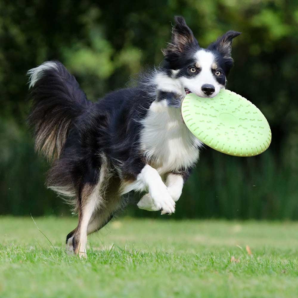 soft frisbee disc