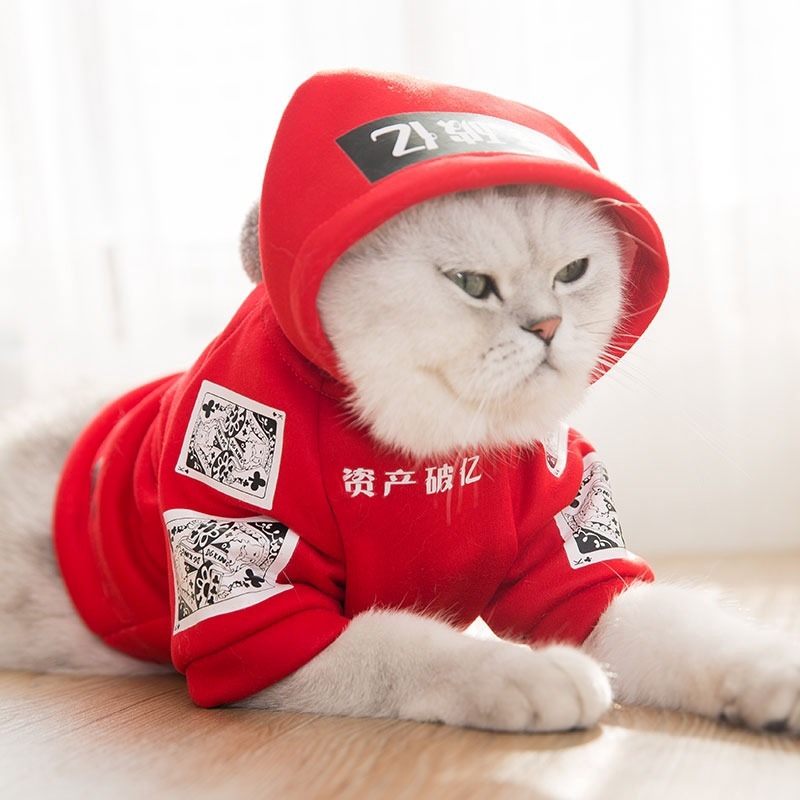 kitten clothing brand