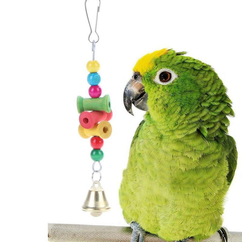 bird toys and accessories