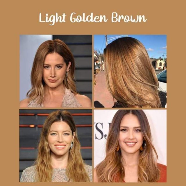 Light Golden Brown Hair Dye + Bleach | Shopee Philippines