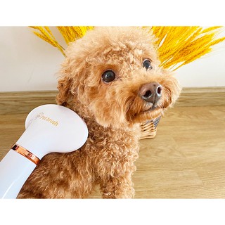 2in1 Portable Pet Dryer Dog Hair Dryer & Comb Pet Grooming Cat Hair Comb Dog Fur Blower Low Noise #5