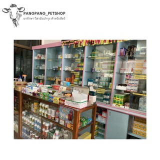 Power Plus Pigeon Flying Drug Xxxxxx #3