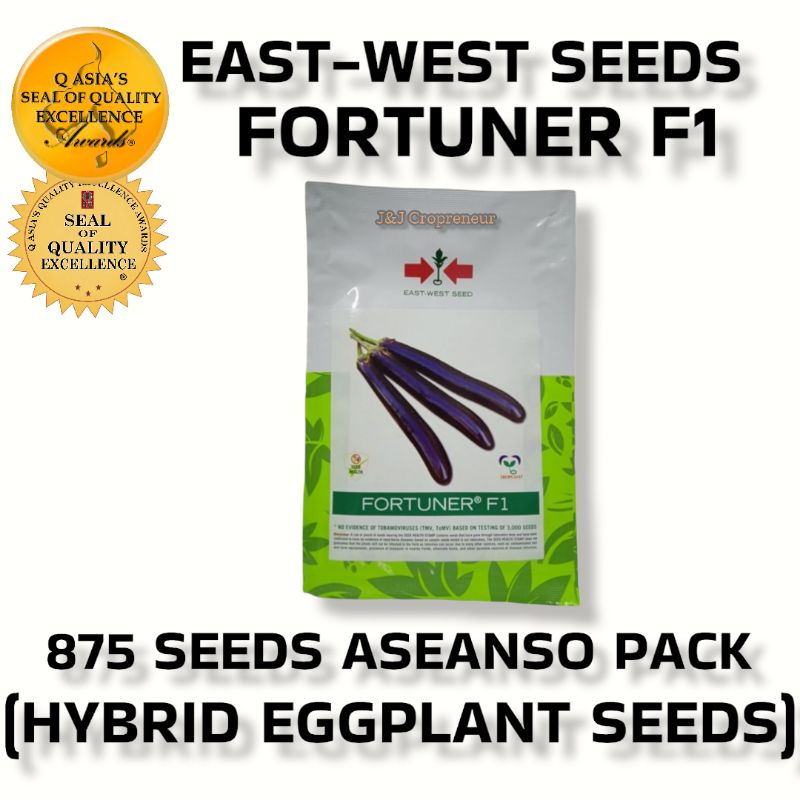 Fortuner F1 875 Seeds Asenso Pack Hybrid Eggplant By East West Seeds Shopee Philippines 4978