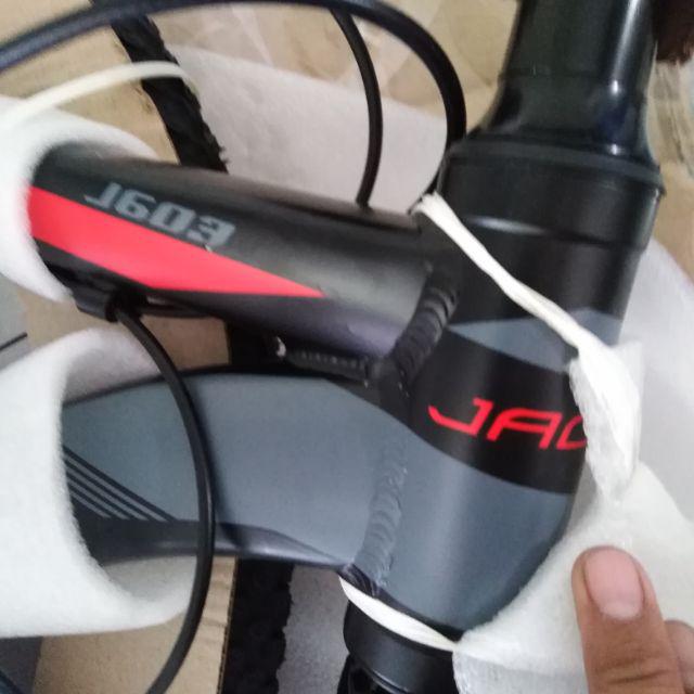 jackal mtb price