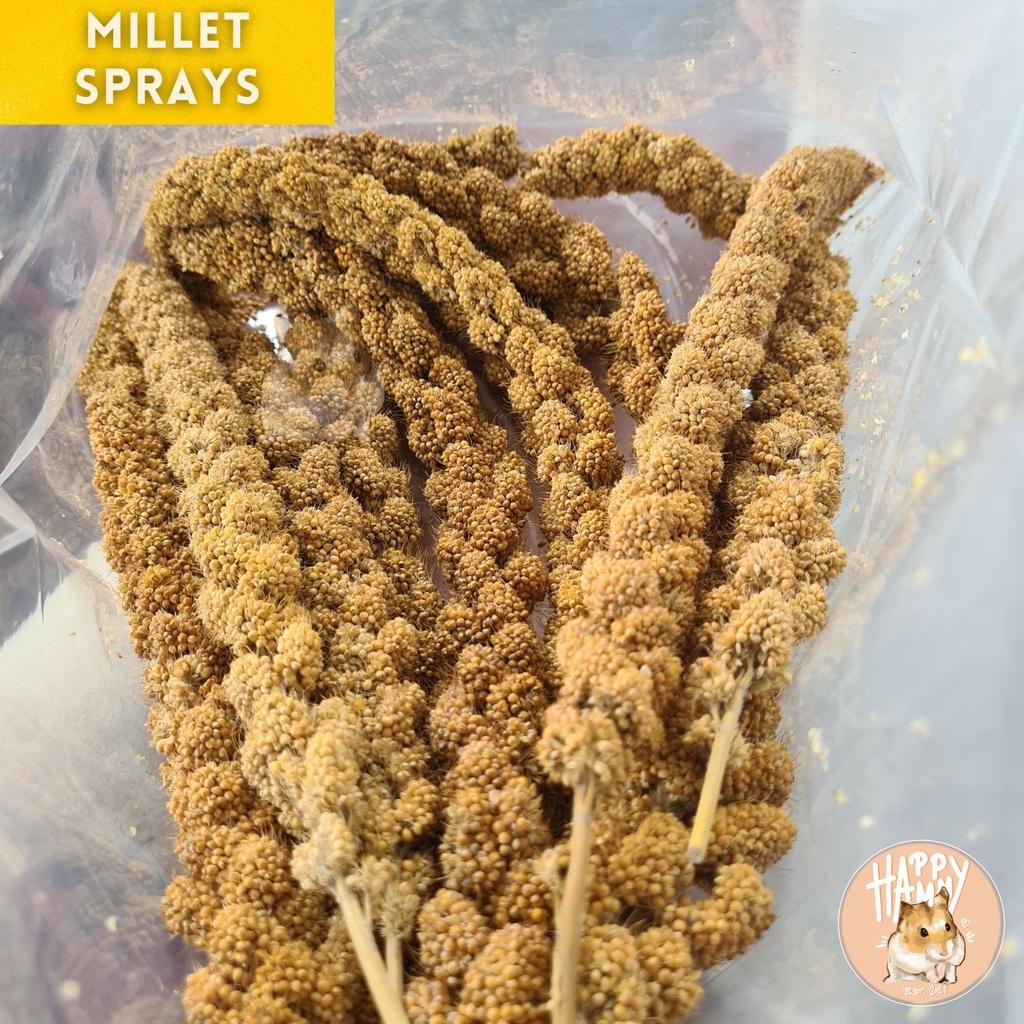 Millet Sprays 60g & 250g !!PRICE DROP!! Shopee Philippines