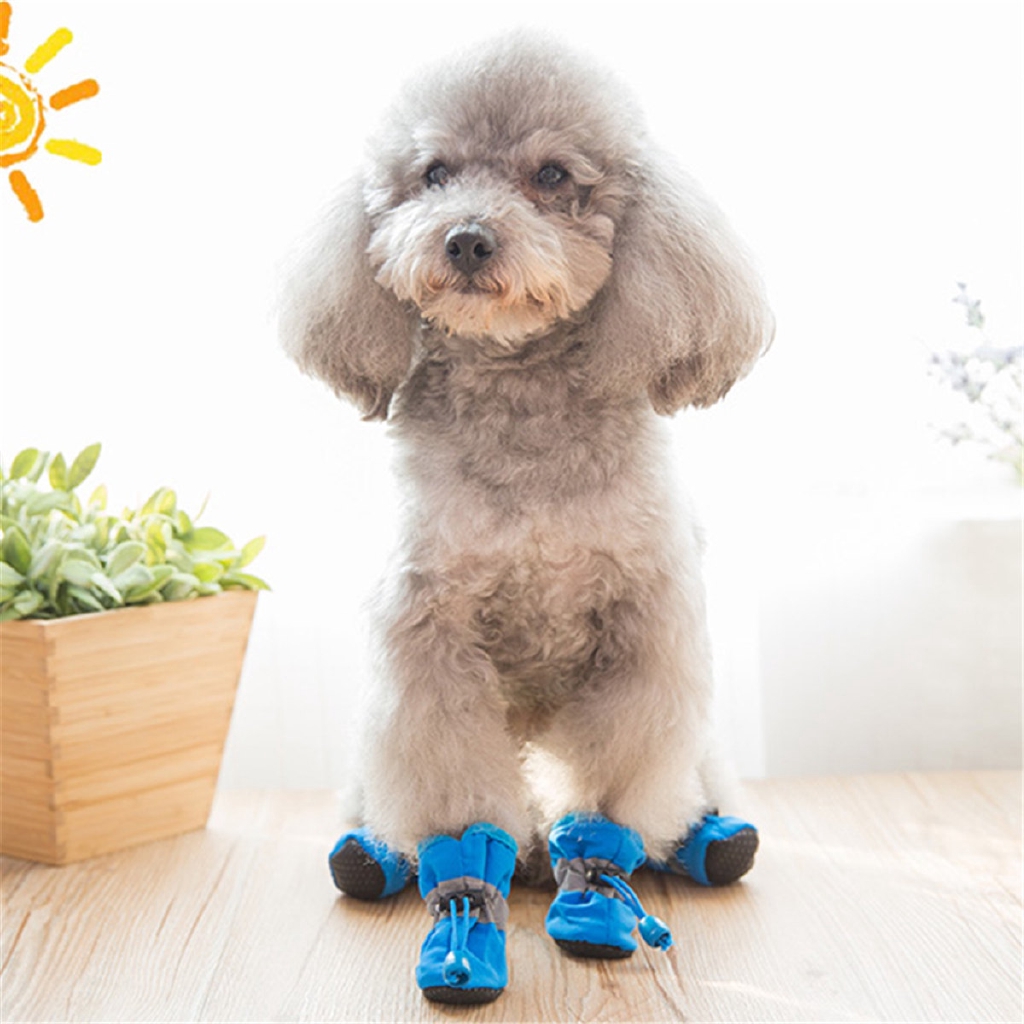 rubber dog shoes