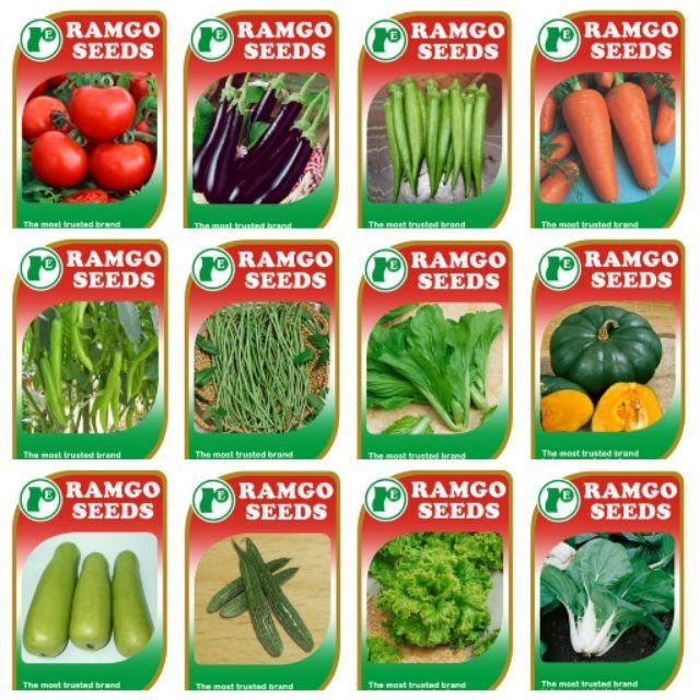 SET A VEGETABLE SEEDS Shopee Philippines