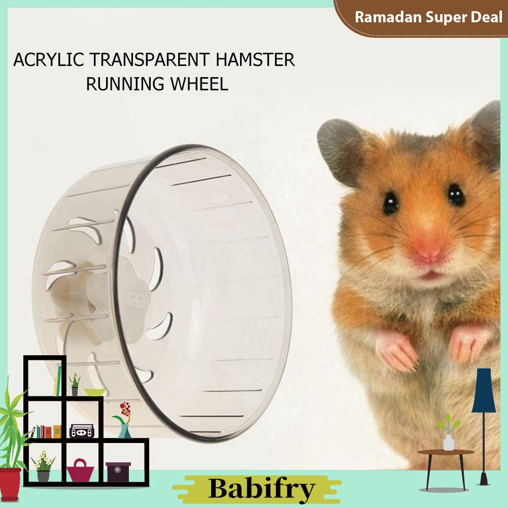 hamster wheel treadmill