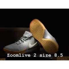 nike zoom live 2 basketball shoes