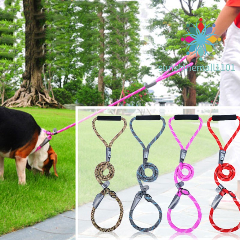 sturdy dog collars