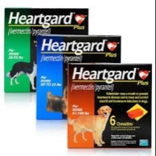 chewy heartgard plus