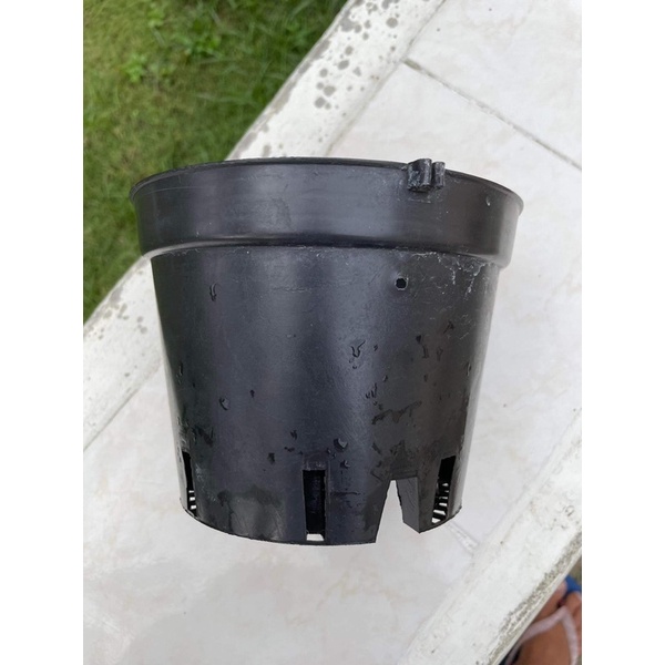 Best Cattleya Orchid Pots USED POTS Shopee Philippines