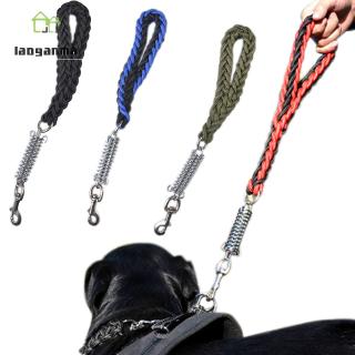 sturdy dog collars