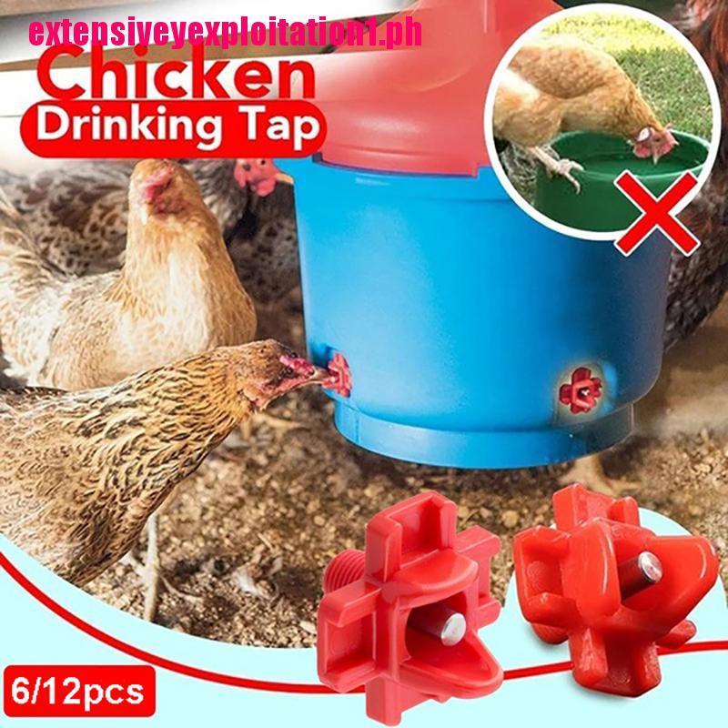 6Pcs Chicken Water Nipples Bird Drink Water Chicks Quail Hen Poultry Automatic 