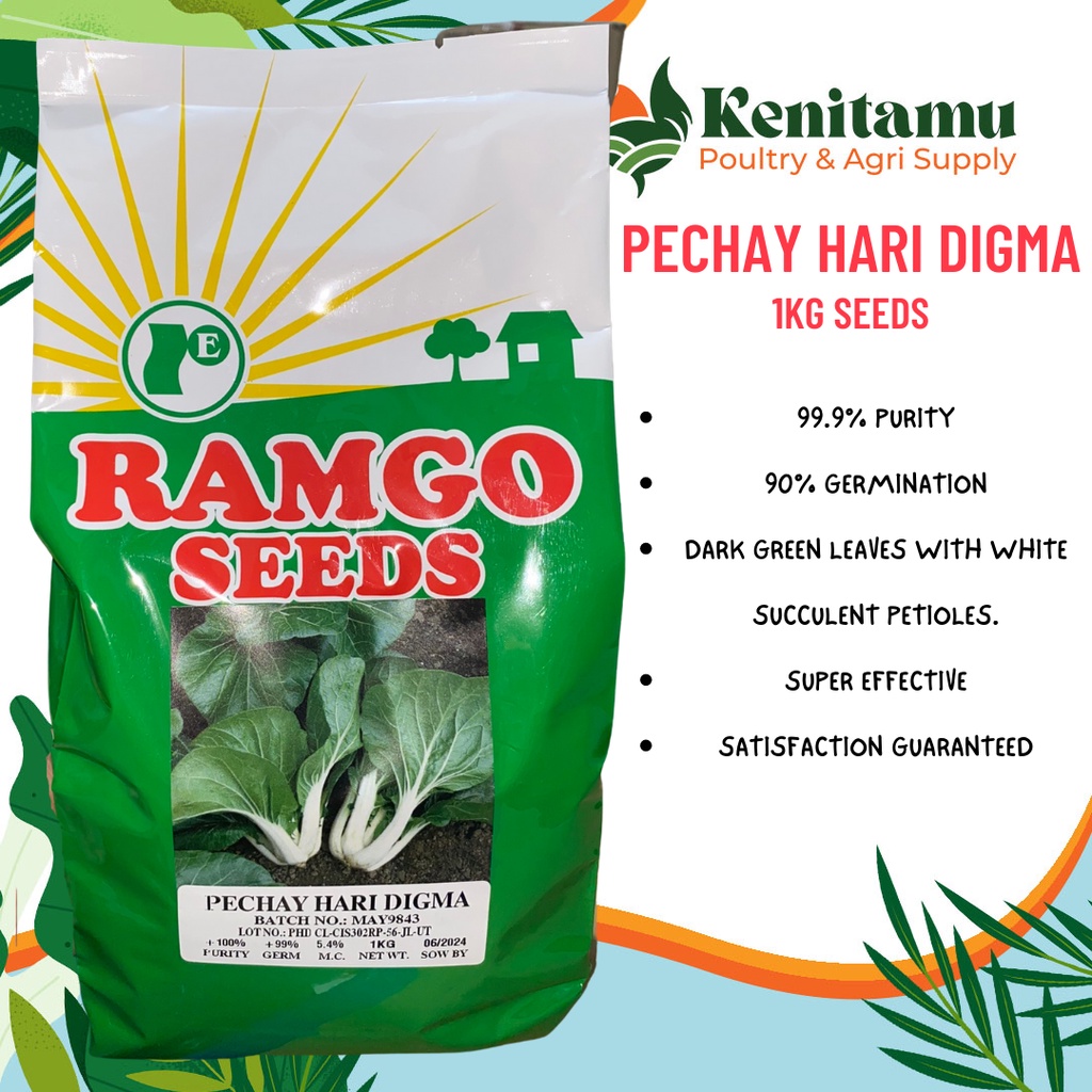 Pechay hari digma 1kg seeds by ramgo shopee philippines