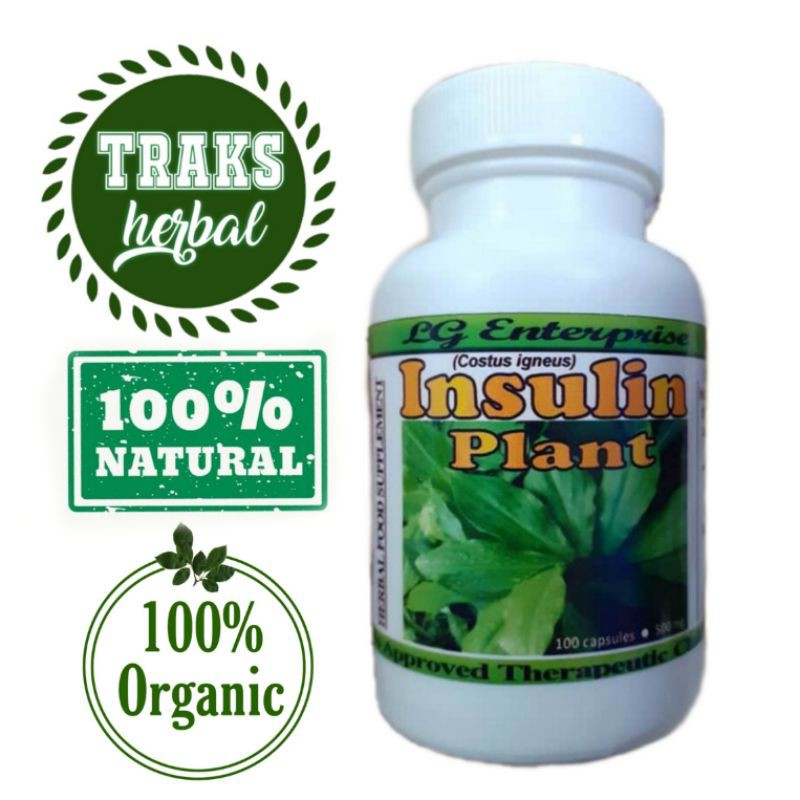 Insulin Plant Treating Diabetes (100 Capsules) 500mg