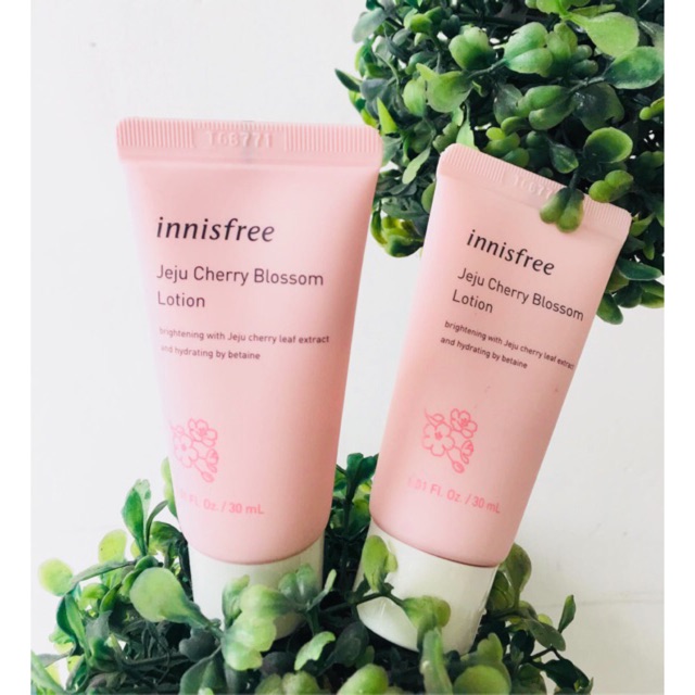 innisfree cherry blossom moisturizer