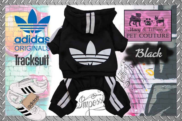 puppy adidas tracksuit
