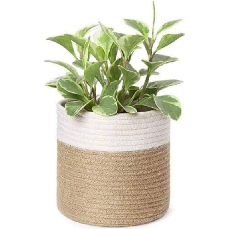 Woven Cotton Rope Basket - for Blankets, Toys, Towels, Clothes, Potted Plants