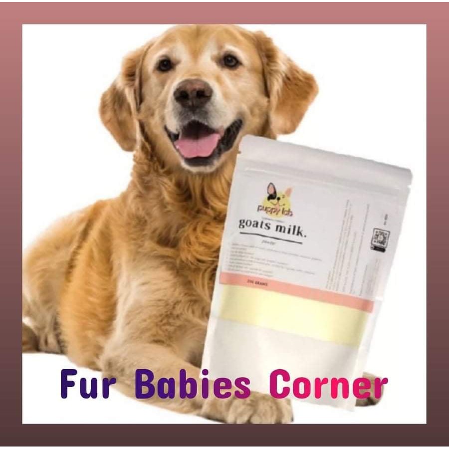 does goat milk help dogs gain weight