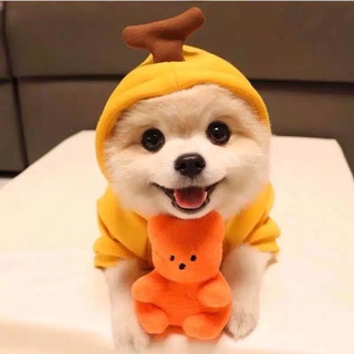 XS-XXL Warm Dog Winter Clothes Cute Fruit Dog Coat Hoodies Sweatshirt Puppy Cat Pet Dogs Costume Jacket French Bulldog