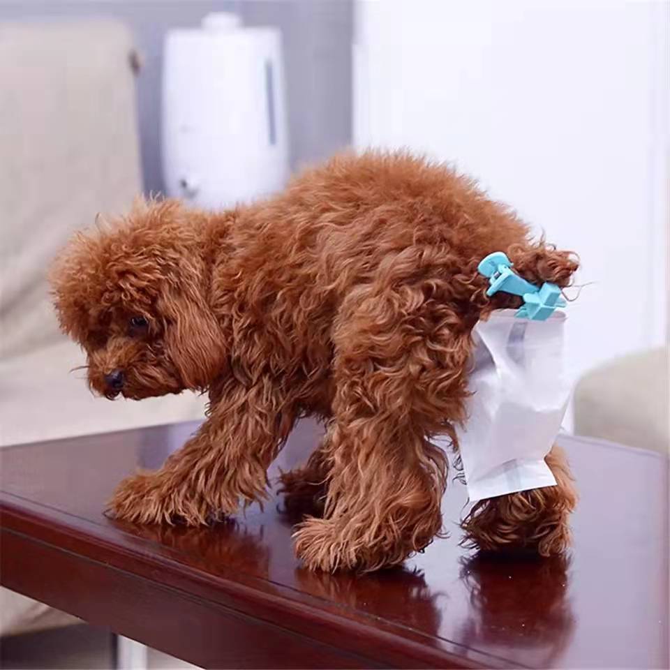 【Pety Pet】Pet Dog Waste Bag Dispenser Creative Puppy Toilet Picker With Tail Clip 20PCS Cats Waste Poop Bag Portable Garbage Cleaning Tool #6