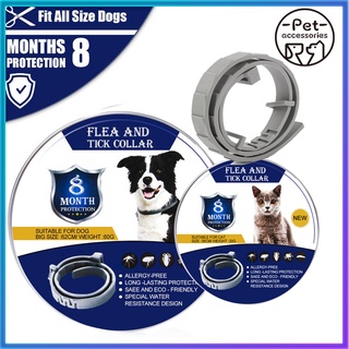 Pet flea collar 8 Months Lasting Protection Anti Insect Flea Tick Collar for Dog Cat