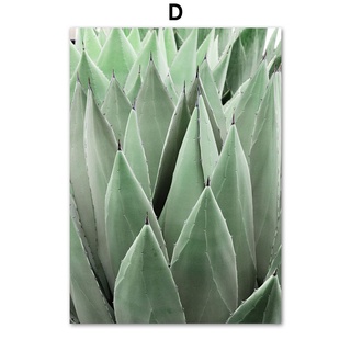 Succulent Plant Monstera Olive Leaf Girl Poster And Print Canvas Painting Nordic Wall Pictures For Home Living Room Decor No Frame #7