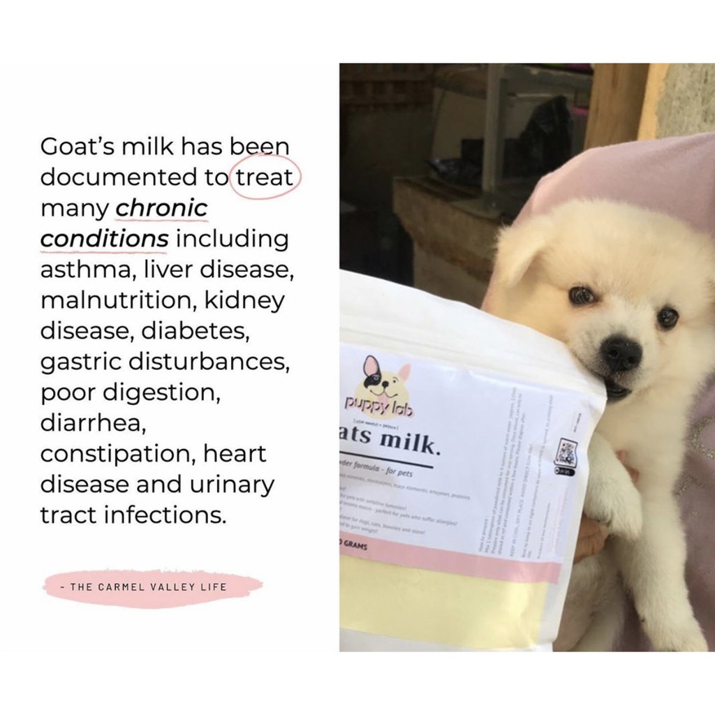 milk for puppy constipation