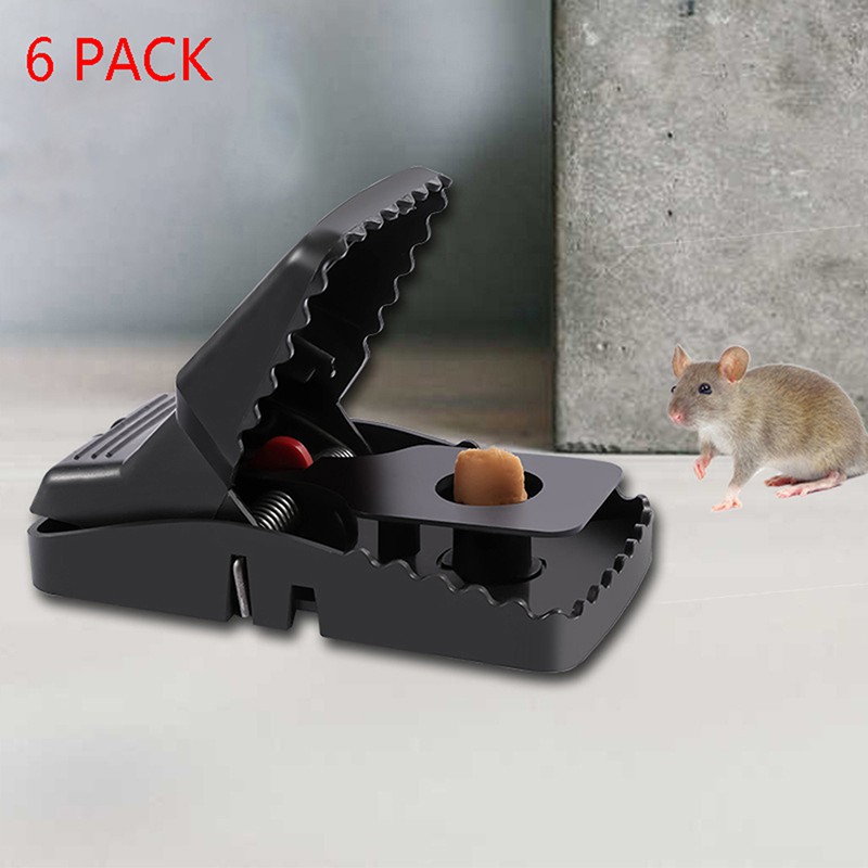 indoor mouse traps