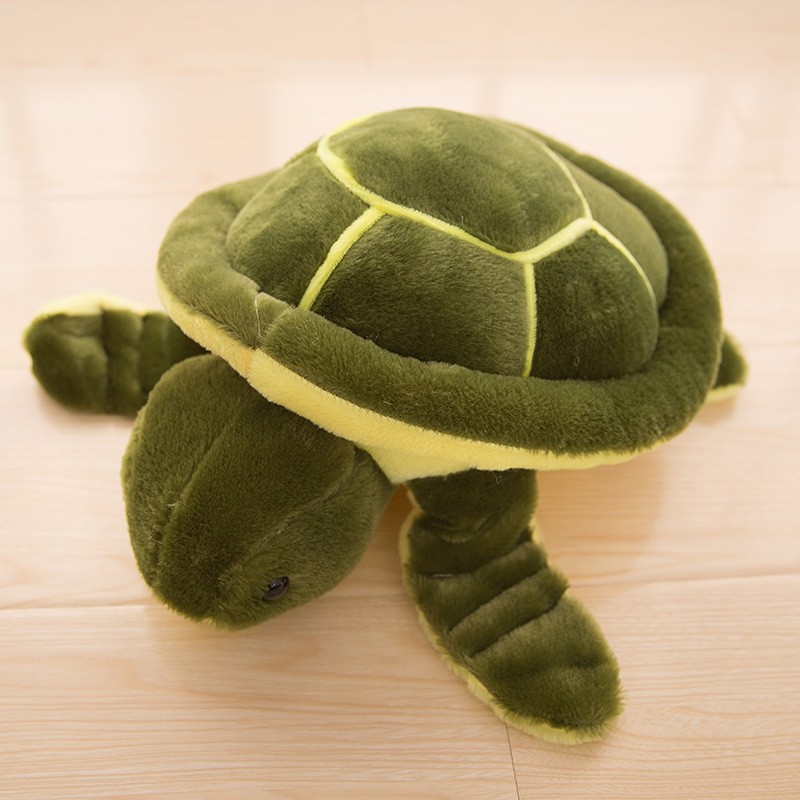 turtle plush toy