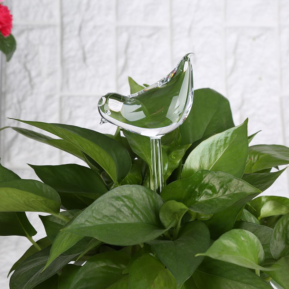 Glass Plant Flowers Water Feeder Self Watering Bird Gara Shopee