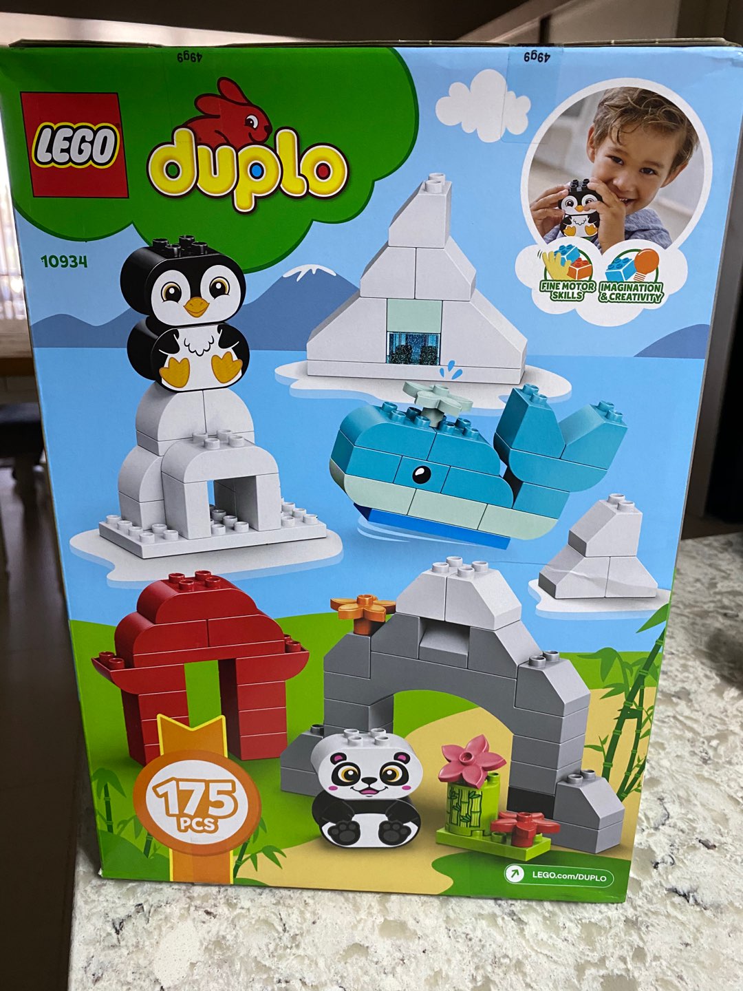 10934 duplo