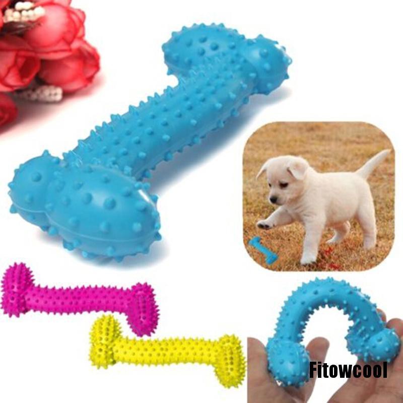 cool pet toys