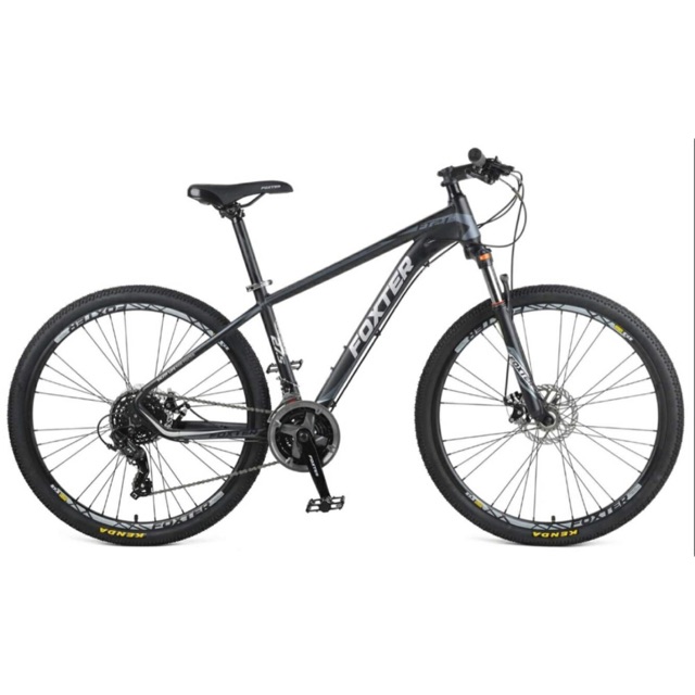 foxter princeton 29er