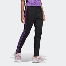 fit track pants