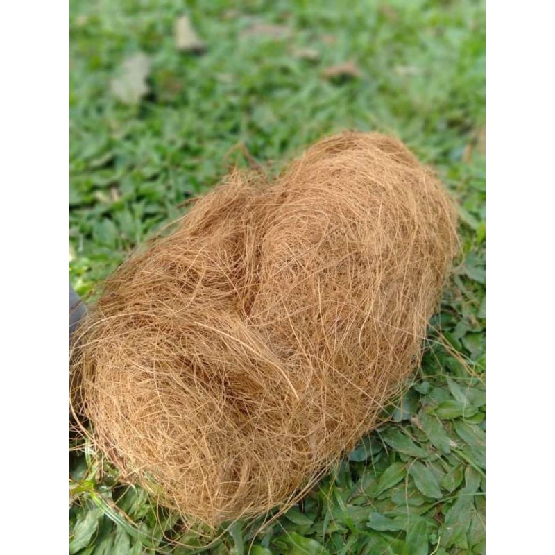 4.4 Sale 100grams Coco Fiber For Orchids, Bromeliads and Other Plants