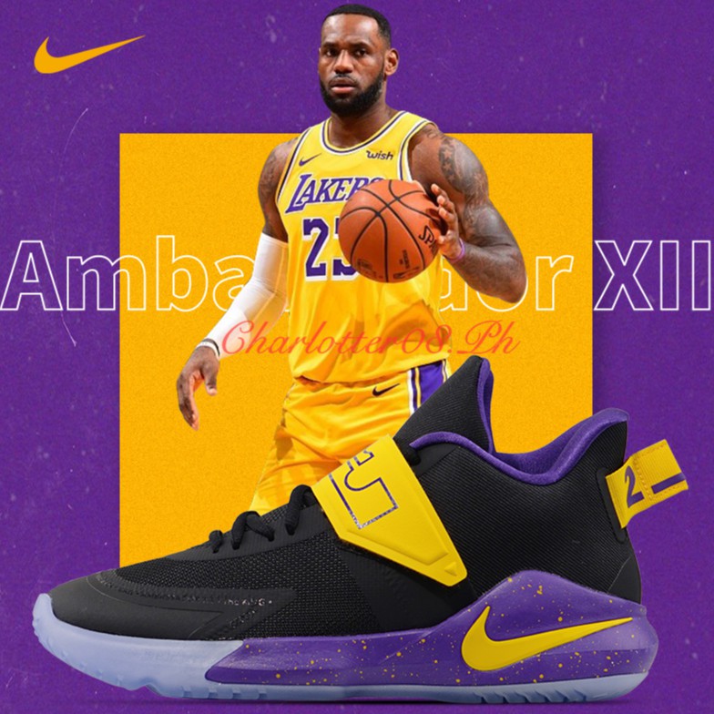 lebron 12 lakers